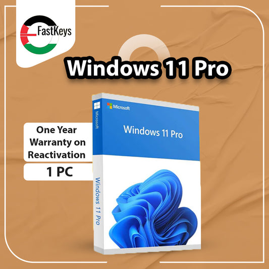 Windows 11 Pro - Premium