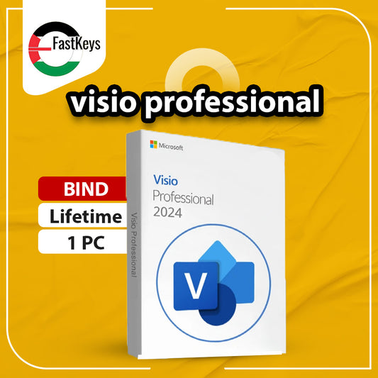 Visio Pro 2024 