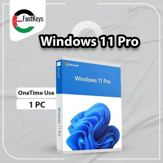 Windows11Pro-OneTimeUse