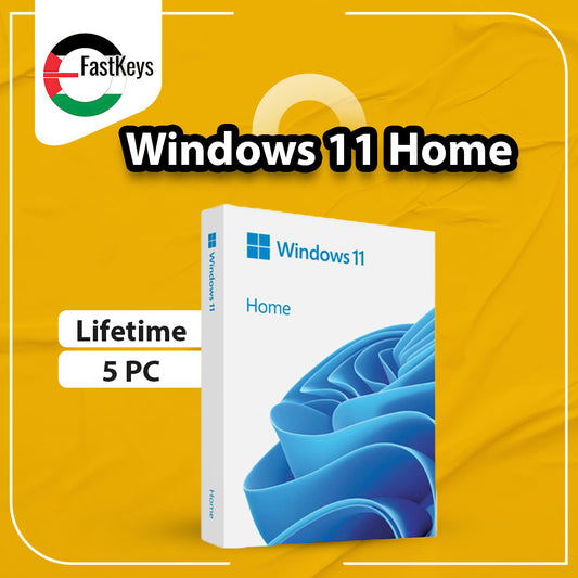 Windows 11 Home 5 Users