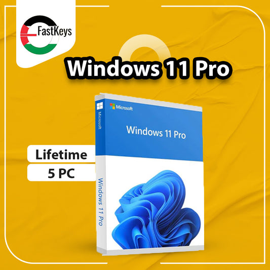 Windows 11 Pro 