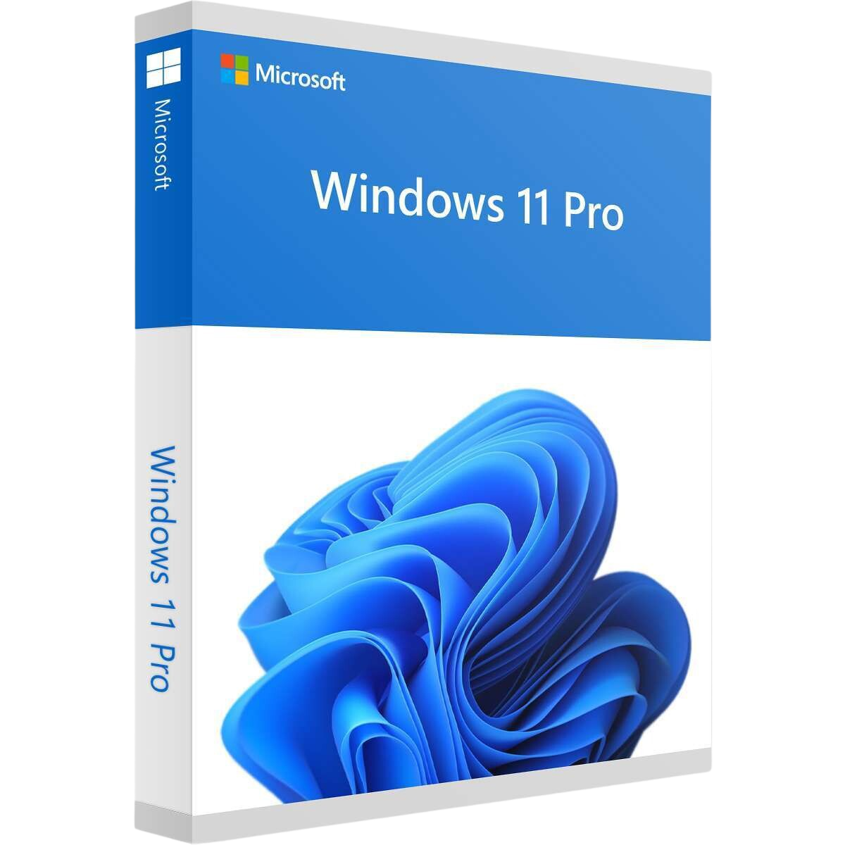Windows 11 Pro 5 Pc