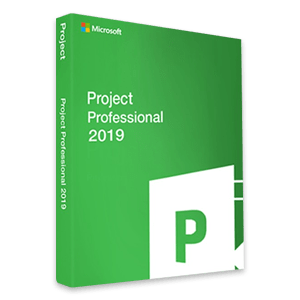 Project Pro 2019 Bind